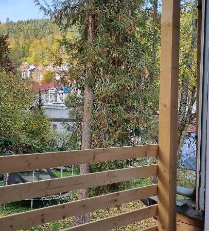 Sm3 Apartment Triberg im Schwarzwald Exteriér fotografie